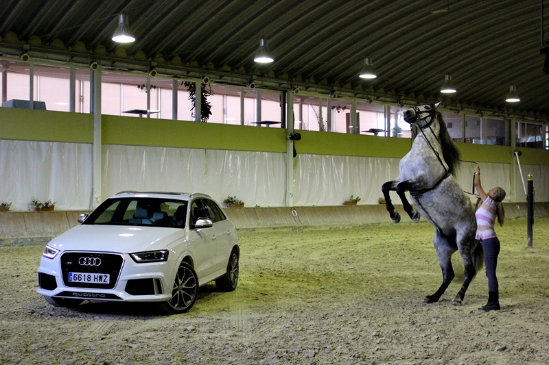 Audi RS Q3 - Fotografia: www.luxury360.es